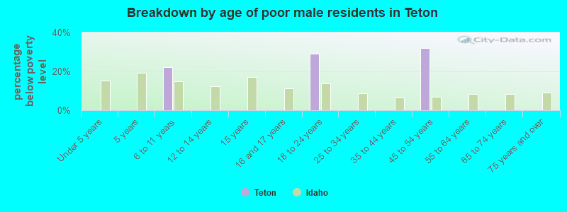 Breakdown by age of poor male residents in Teton