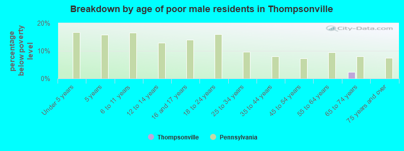 Breakdown by age of poor male residents in Thompsonville