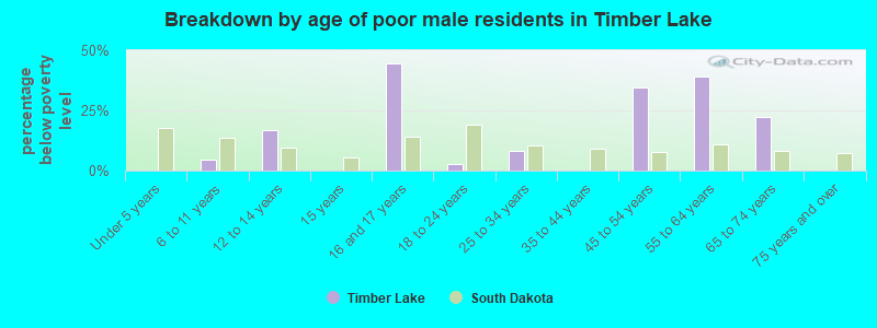 Breakdown by age of poor male residents in Timber Lake
