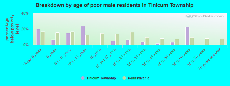 Breakdown by age of poor male residents in Tinicum Township