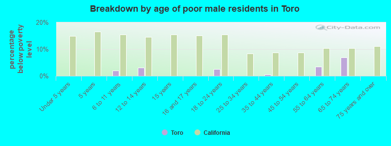 Breakdown by age of poor male residents in Toro