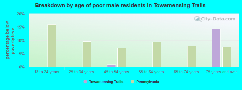 Breakdown by age of poor male residents in Towamensing Trails