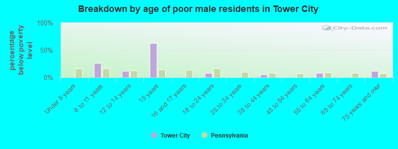 Breakdown by age of poor male residents in Tower City