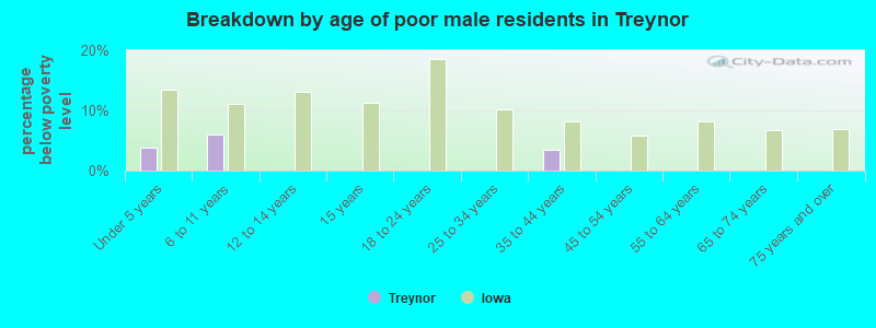 Breakdown by age of poor male residents in Treynor