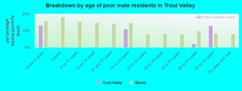 Breakdown by age of poor male residents in Trout Valley