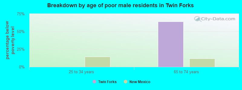 Breakdown by age of poor male residents in Twin Forks