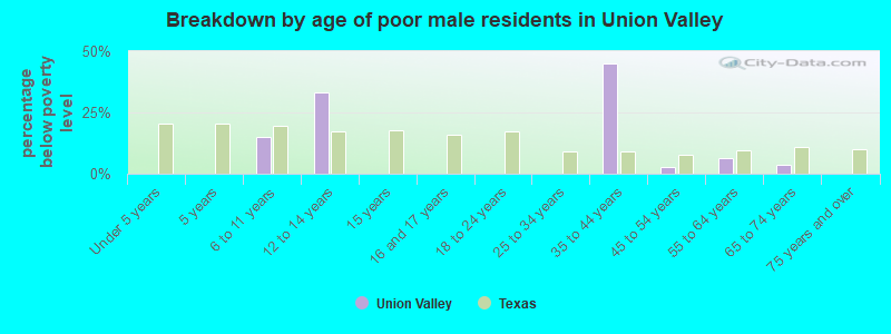 Breakdown by age of poor male residents in Union Valley