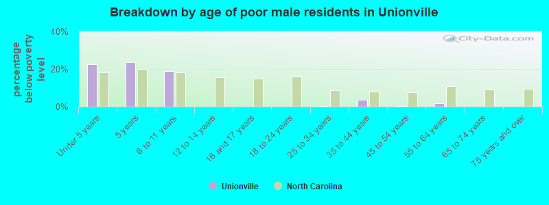 Breakdown by age of poor male residents in Unionville