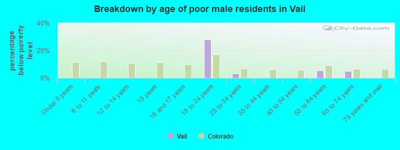 Breakdown by age of poor male residents in Vail