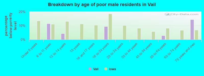 Breakdown by age of poor male residents in Vail