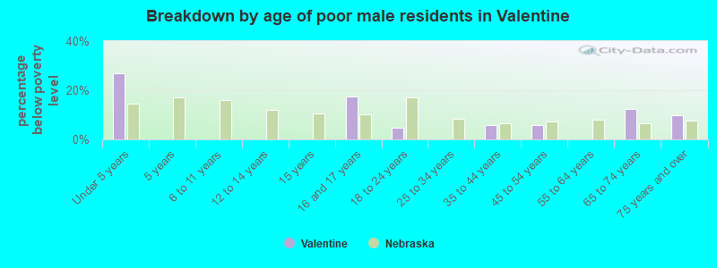 Breakdown by age of poor male residents in Valentine