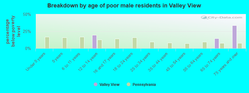 Breakdown by age of poor male residents in Valley View