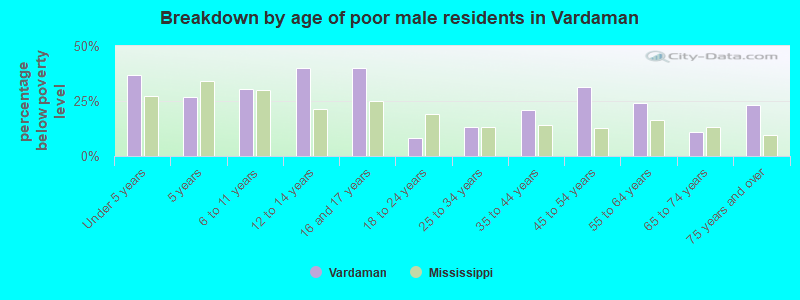 Breakdown by age of poor male residents in Vardaman