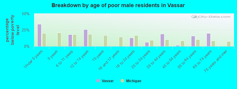Breakdown by age of poor male residents in Vassar