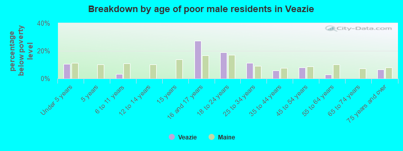 Breakdown by age of poor male residents in Veazie