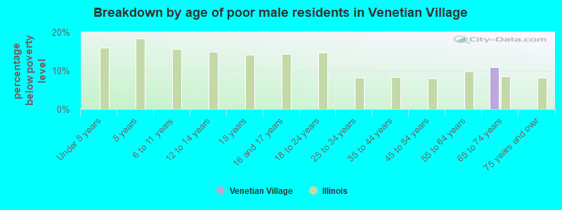 Breakdown by age of poor male residents in Venetian Village