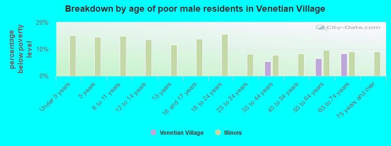 Breakdown by age of poor male residents in Venetian Village