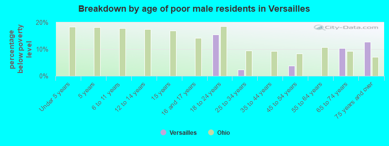 Breakdown by age of poor male residents in Versailles