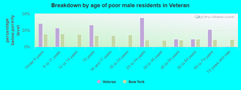 Breakdown by age of poor male residents in Veteran