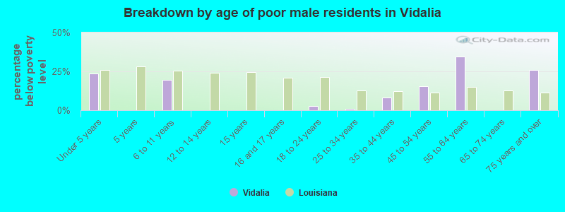 Breakdown by age of poor male residents in Vidalia