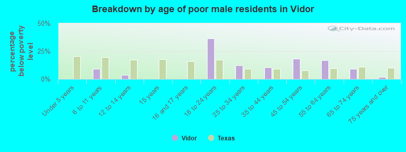 Breakdown by age of poor male residents in Vidor