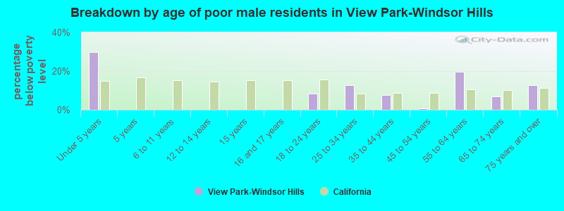 Breakdown by age of poor male residents in View Park-Windsor Hills