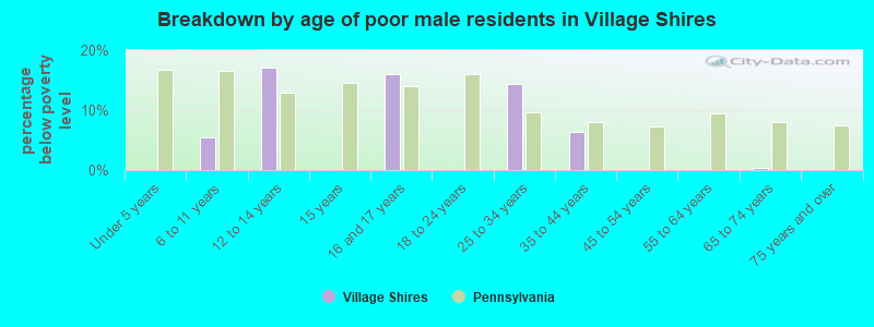 Breakdown by age of poor male residents in Village Shires