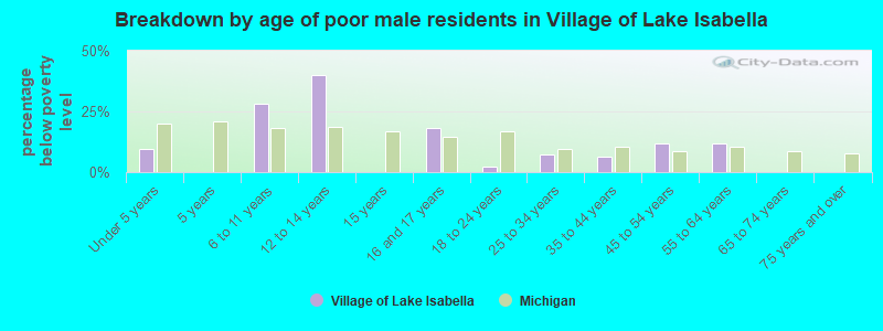 Breakdown by age of poor male residents in Village of Lake Isabella