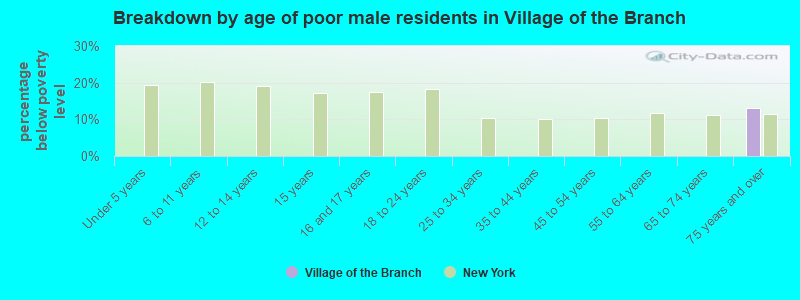 Breakdown by age of poor male residents in Village of the Branch