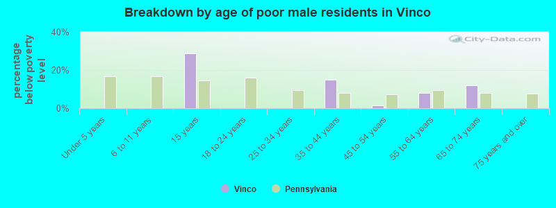 Breakdown by age of poor male residents in Vinco