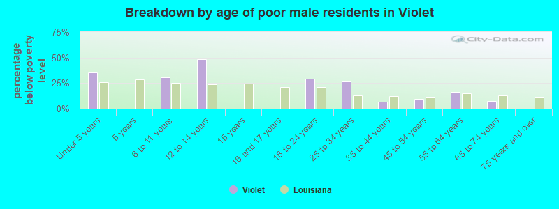 Breakdown by age of poor male residents in Violet