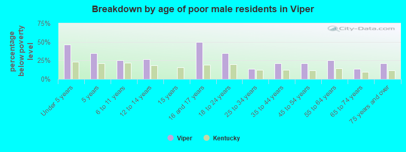 Breakdown by age of poor male residents in Viper