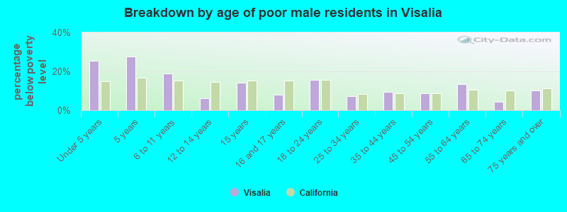 Breakdown by age of poor male residents in Visalia