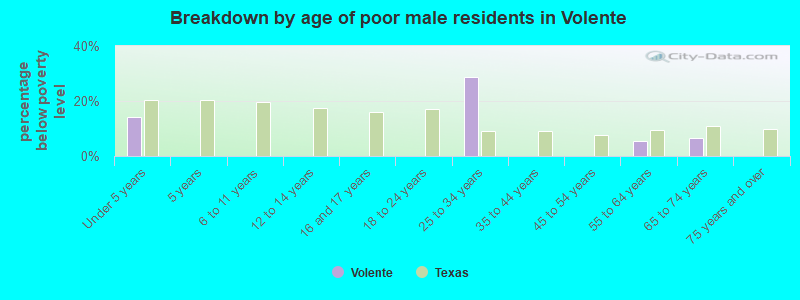 Breakdown by age of poor male residents in Volente