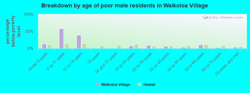 Breakdown by age of poor male residents in Waikoloa Village
