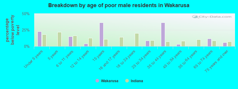 Breakdown by age of poor male residents in Wakarusa