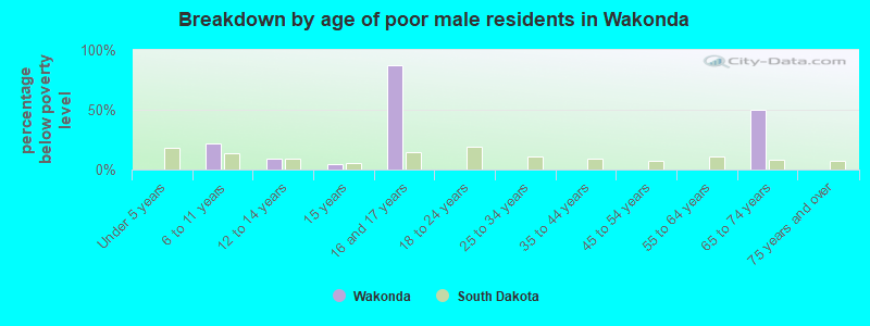 Breakdown by age of poor male residents in Wakonda