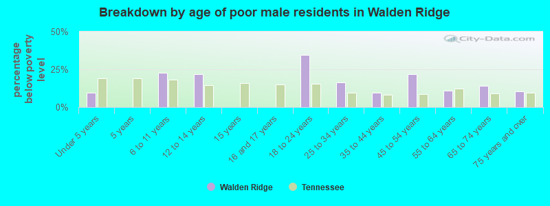 Breakdown by age of poor male residents in Walden Ridge
