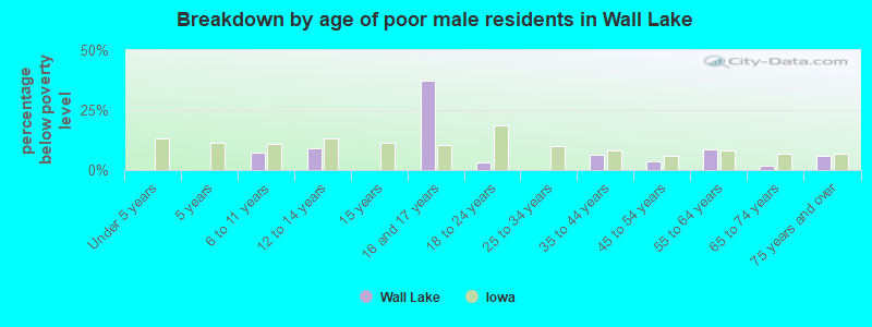 Breakdown by age of poor male residents in Wall Lake