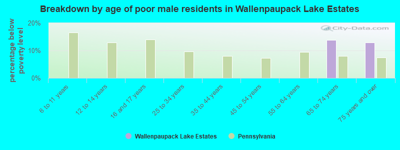 Breakdown by age of poor male residents in Wallenpaupack Lake Estates