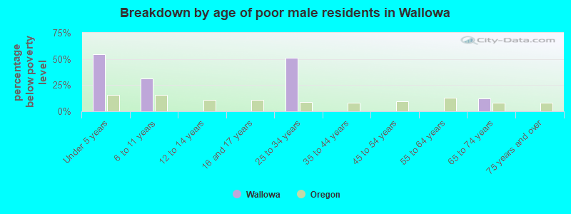 Breakdown by age of poor male residents in Wallowa
