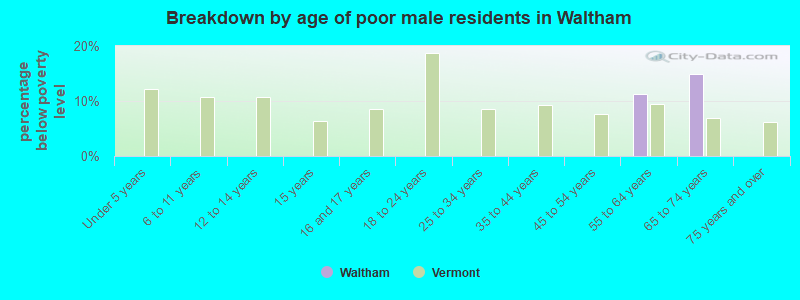 Breakdown by age of poor male residents in Waltham