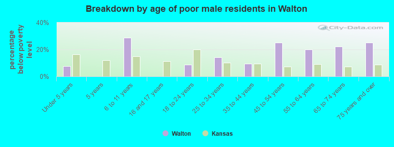 Breakdown by age of poor male residents in Walton