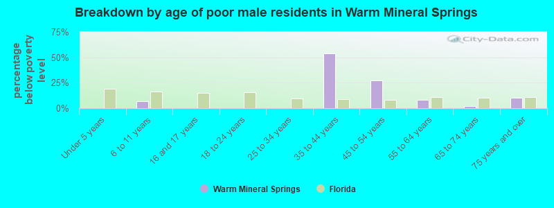 Breakdown by age of poor male residents in Warm Mineral Springs
