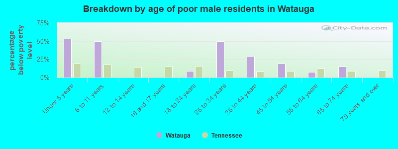 Breakdown by age of poor male residents in Watauga