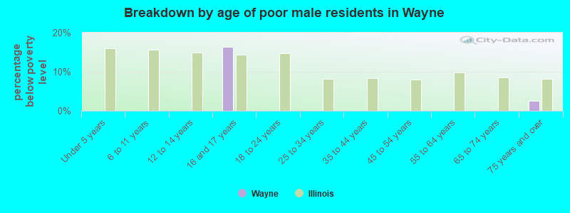 Breakdown by age of poor male residents in Wayne