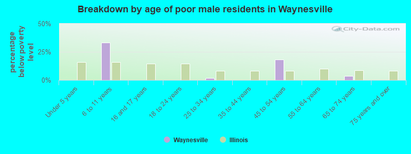 Breakdown by age of poor male residents in Waynesville