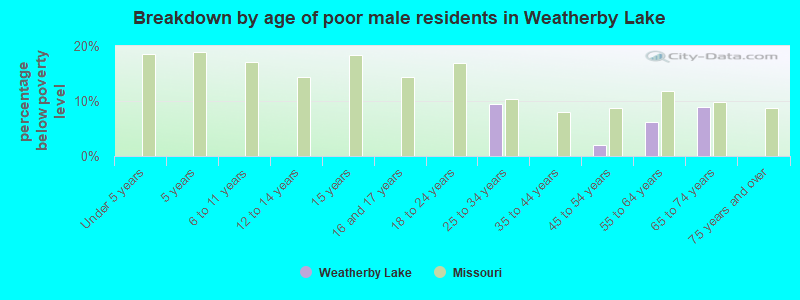 Breakdown by age of poor male residents in Weatherby Lake