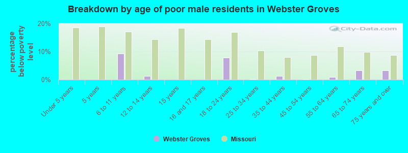 Breakdown by age of poor male residents in Webster Groves