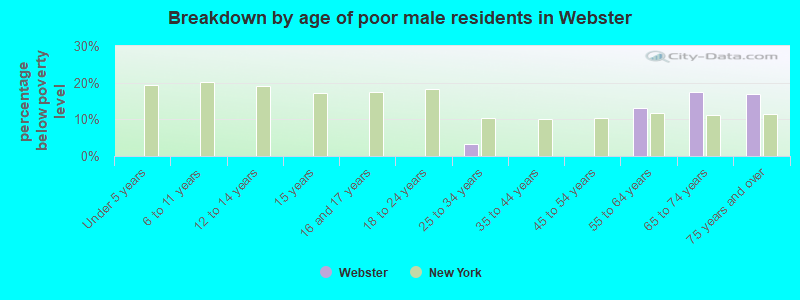 Breakdown by age of poor male residents in Webster